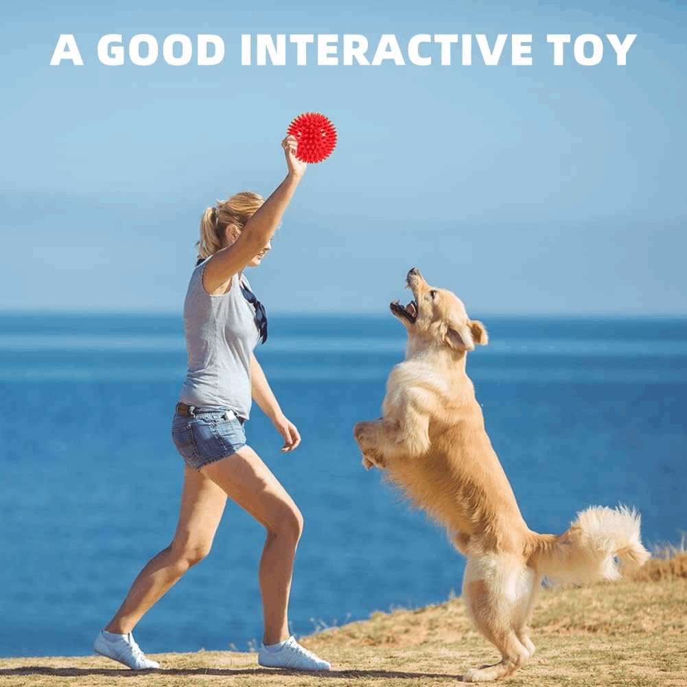 Squeaky Interactive Dog Balls for Puppy Teething