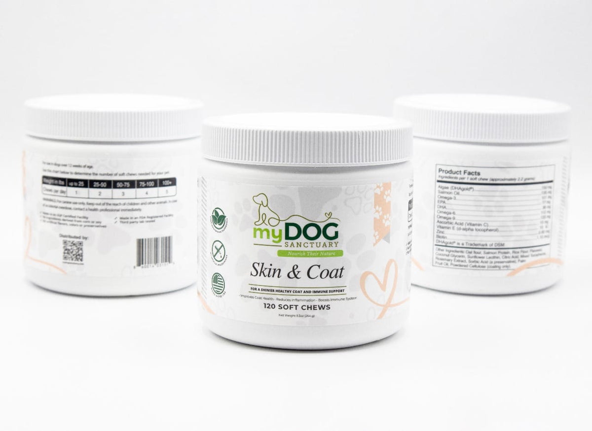 Radiant Refuge Skin & Coat Chews