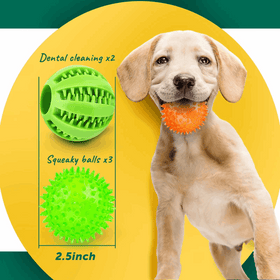 Squeaky Interactive Dog Balls for Puppy Teething