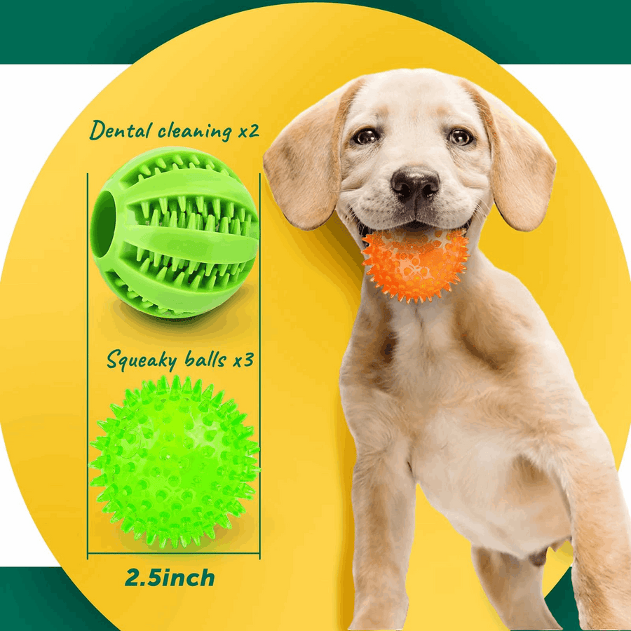 Squeaky Interactive Dog Balls for Puppy Teething